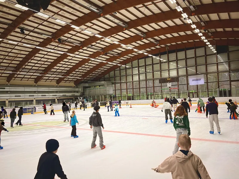 Rink or Ruin: What It Really Takes to Keep Your Local Ice Facility Alive